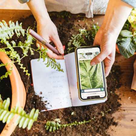 Persona che scrive su un taccuino mentre fotografa una pianta con lo smartphone
